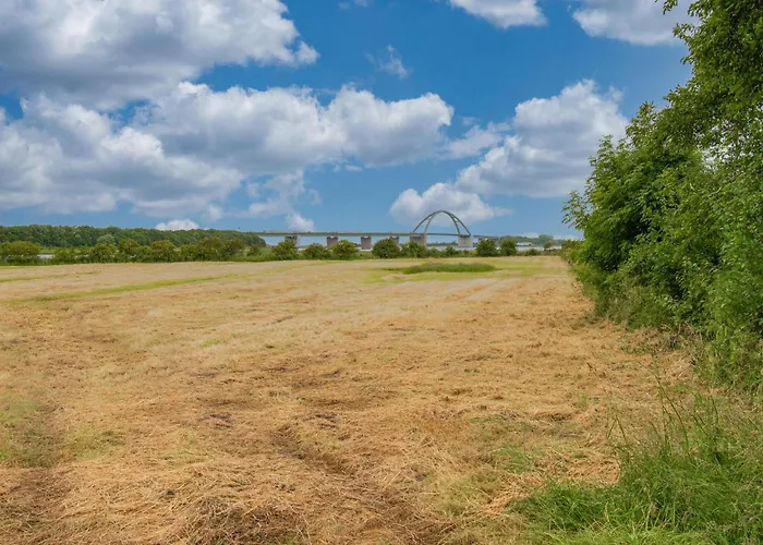 Seestern Apartamento